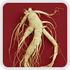 ginseng